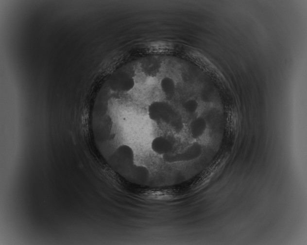 X0000100310557200806190944