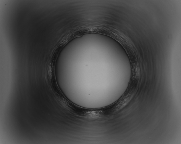 X0000100310558200806190944