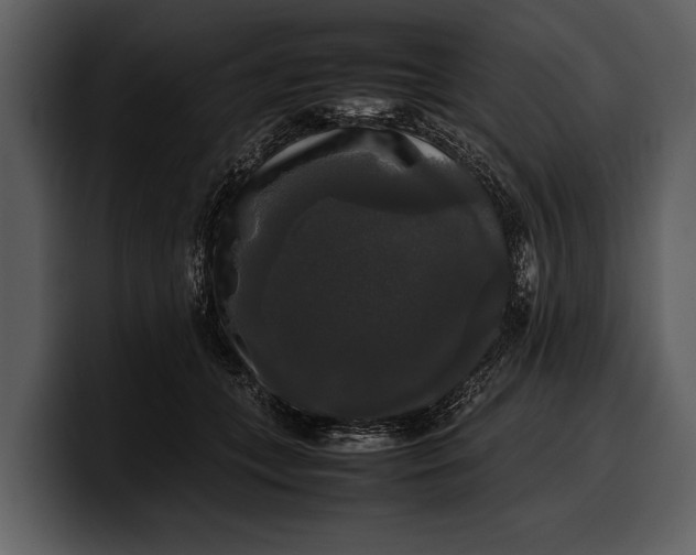 X0000100310559200806190944