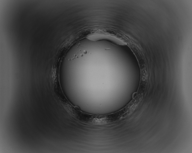 X0000100310560200806190944