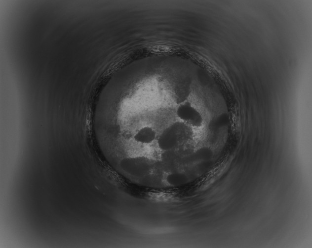 X0000100310561200806190945