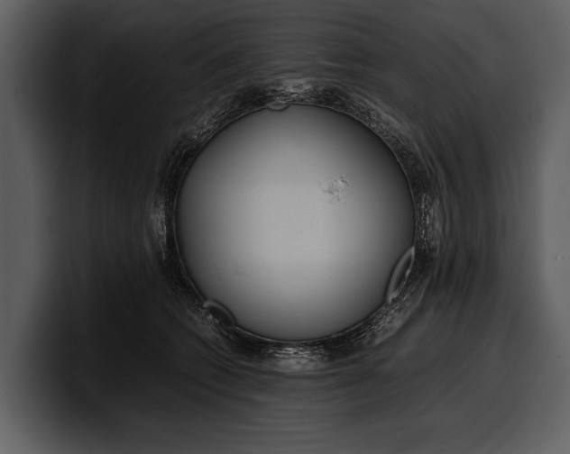 X0000100310562200806190945