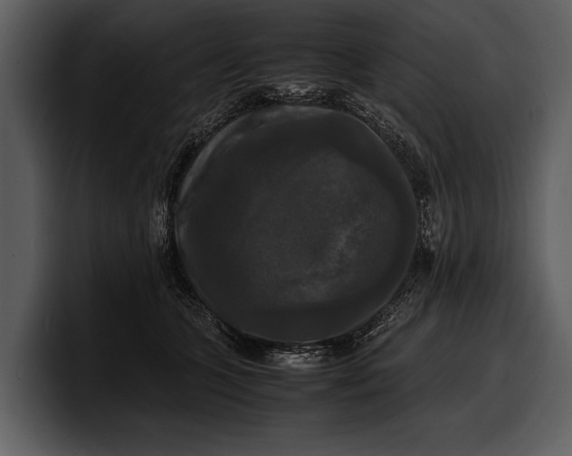 X0000100310563200806190945