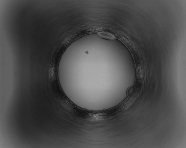 X0000100310564200806190945