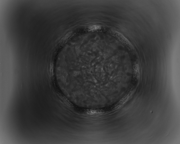 X0000100310565200806190945
