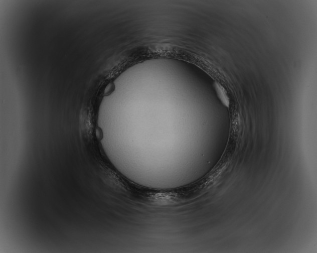 X0000100310566200806190945