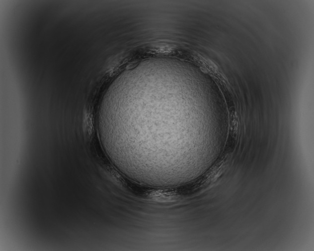 X0000100310568200806190945