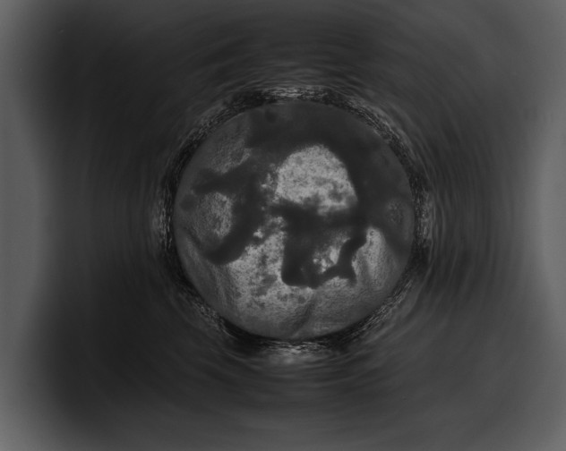 X0000100310569200806190945
