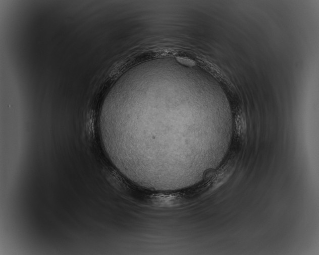 X0000100310570200806190945