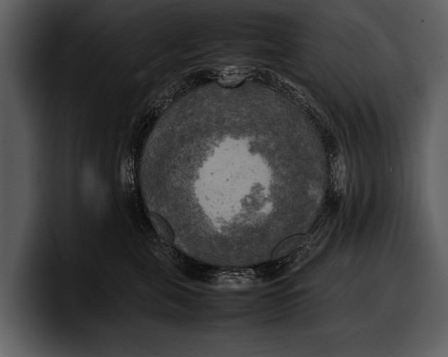 X0000100310571200806190945