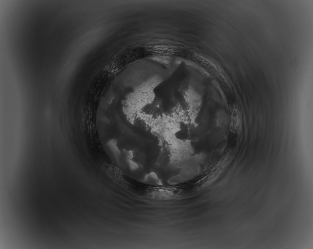 X0000100310573200806190945