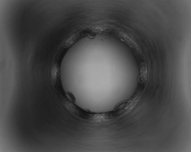 X0000100310574200806190945