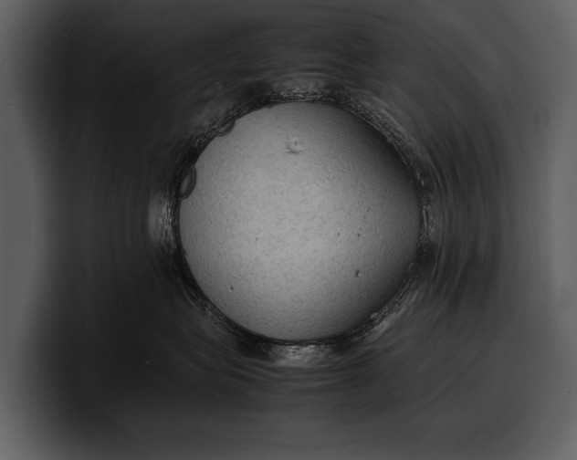 X0000100310575200806190945