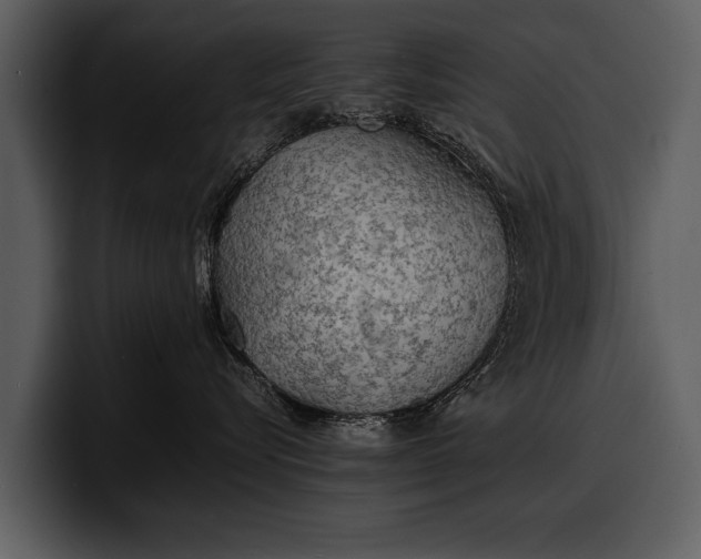 X0000100310576200806190945