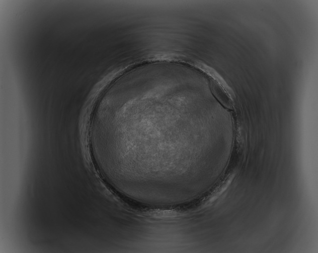 X0000100310577200806190944