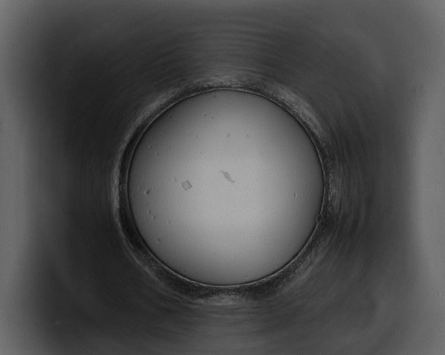 X0000100310578200806190944