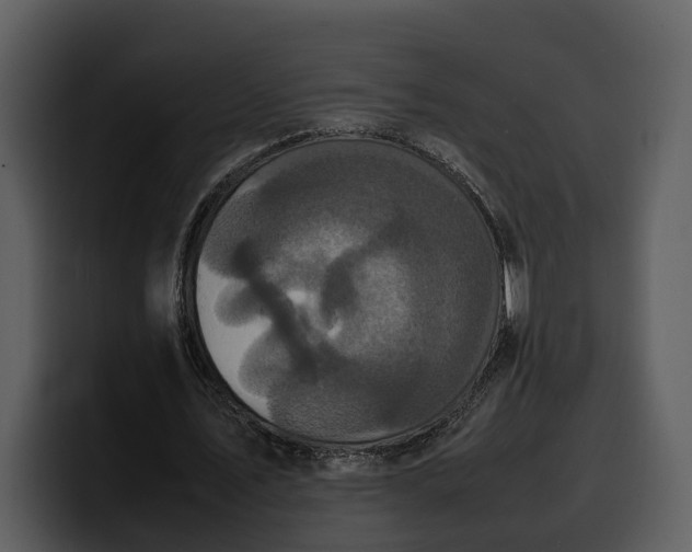 X0000100310579200806190944