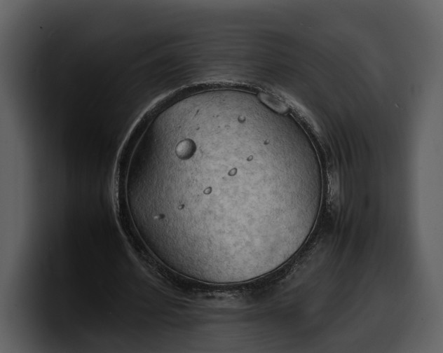 X0000100310580200806190944
