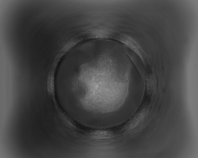 X0000100310581200806190944