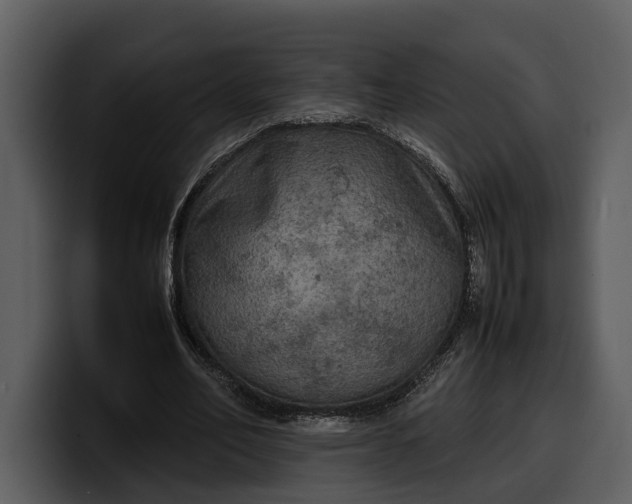 X0000100310582200806190944