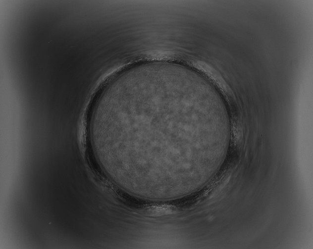 X0000100310583200806190944