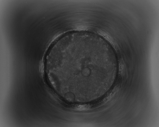 X0000100310584200806190944