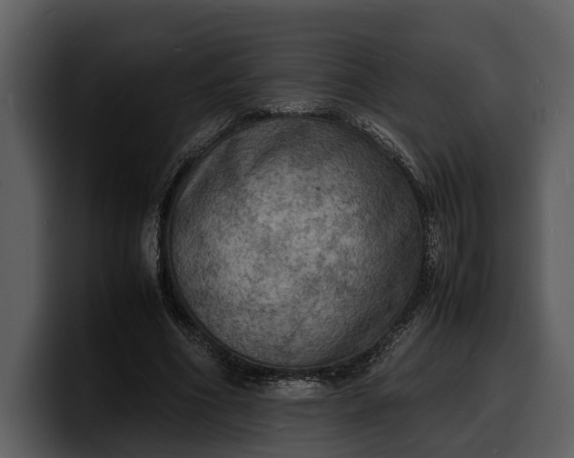 X0000100310586200806190944