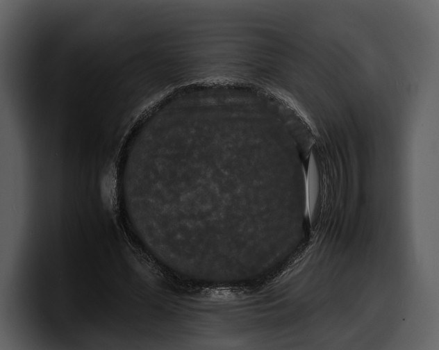 X0000100310588200806190944