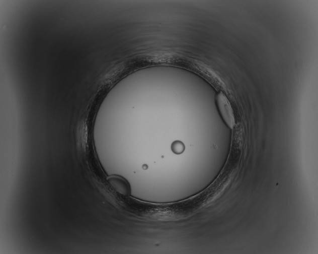 X0000100310589200806190944