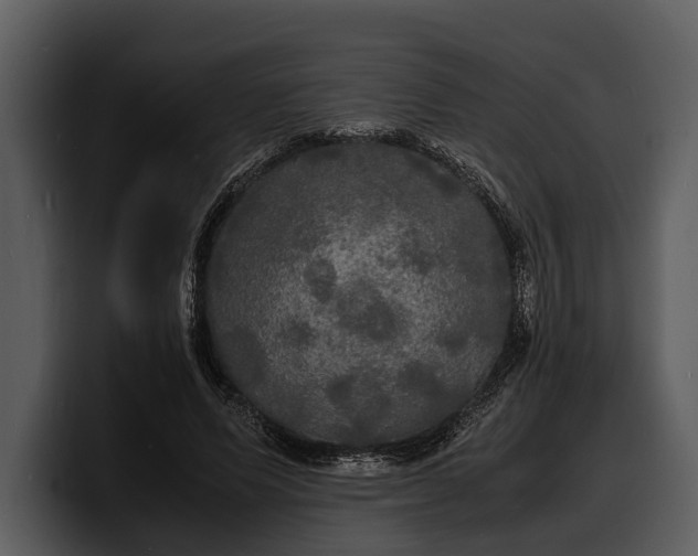 X0000100310591200806190944
