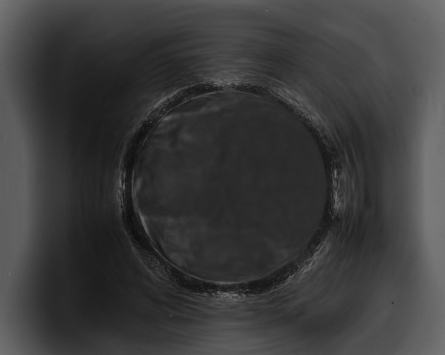 X0000100310592200806190944