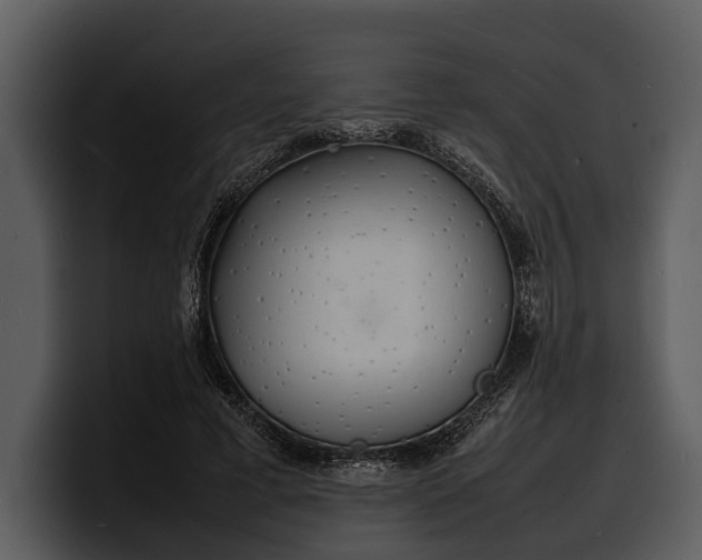 X0000100310593200806190944