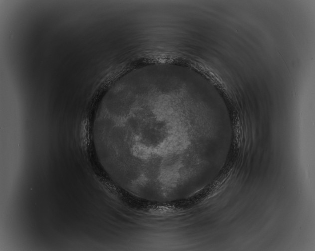 X0000100310594200806190944