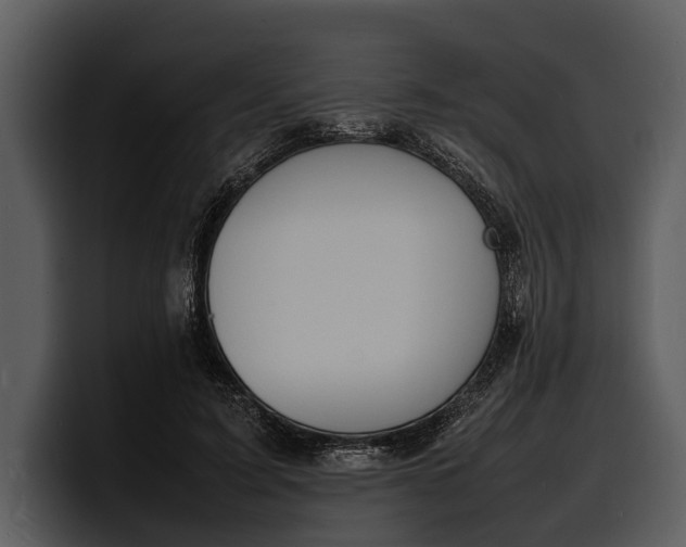 X0000100310595200806190944