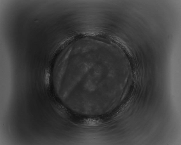 X0000100310596200806190944