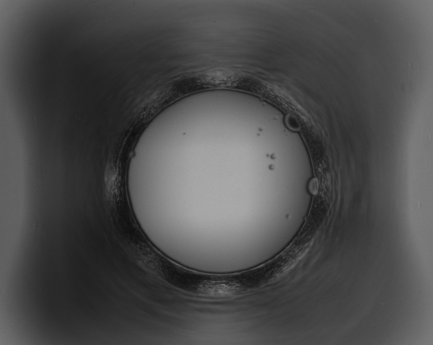 X0000100310597200806190944