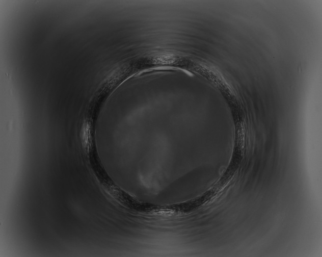X0000100310598200806190944