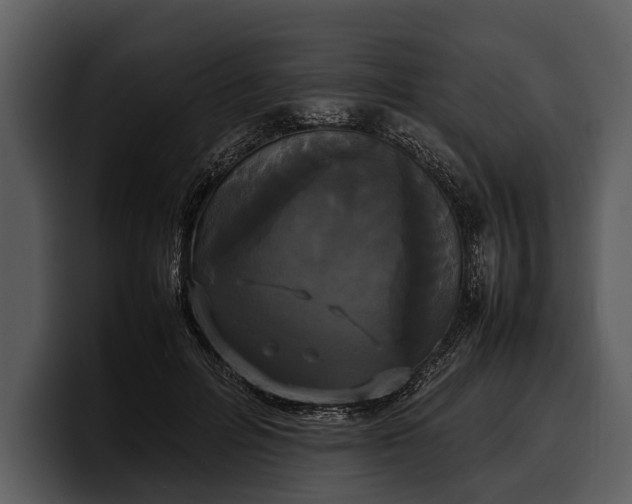 X0000100310600200806190944