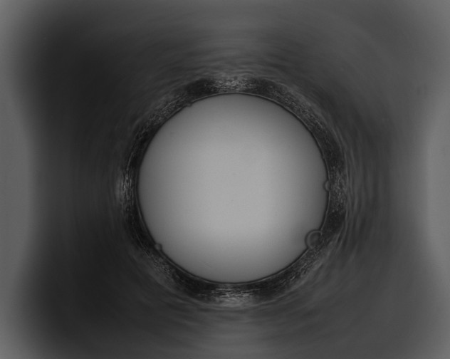X0000100310601200806190944