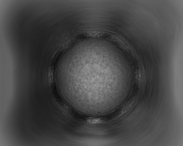 X0000100310602200806190944