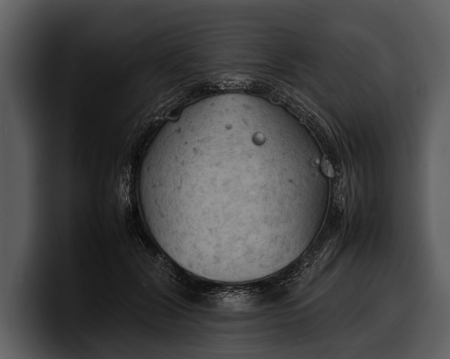 X0000100310604200806190944