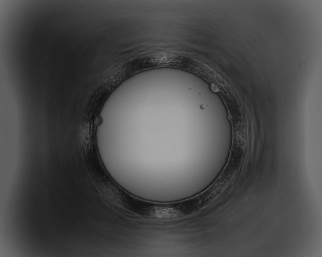 X0000100310605200806190944
