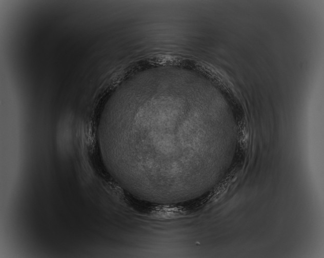 X0000100310607200806190944