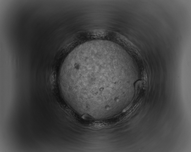 X0000100310608200806190944