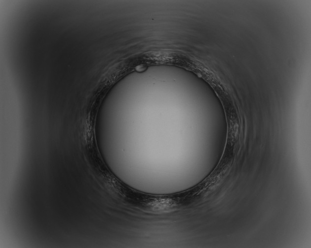 X0000100310609200806190944