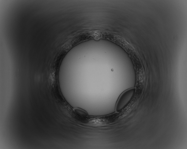 X0000100310611200806190944