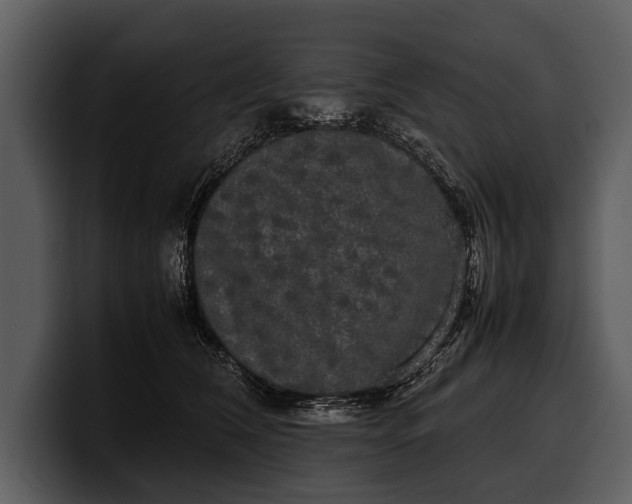 X0000100310612200806190944