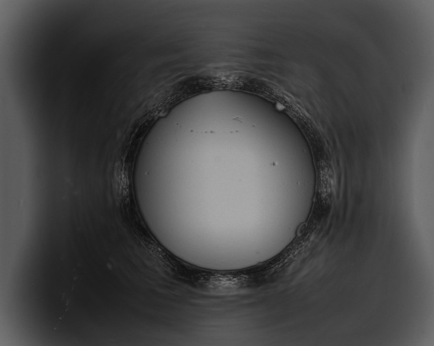 X0000100310613200806190944