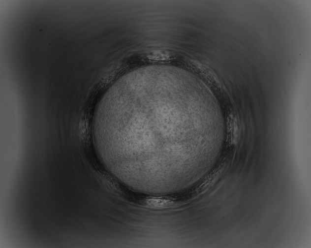 X0000100310614200806190944