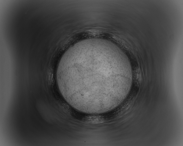 X0000100310615200806190944